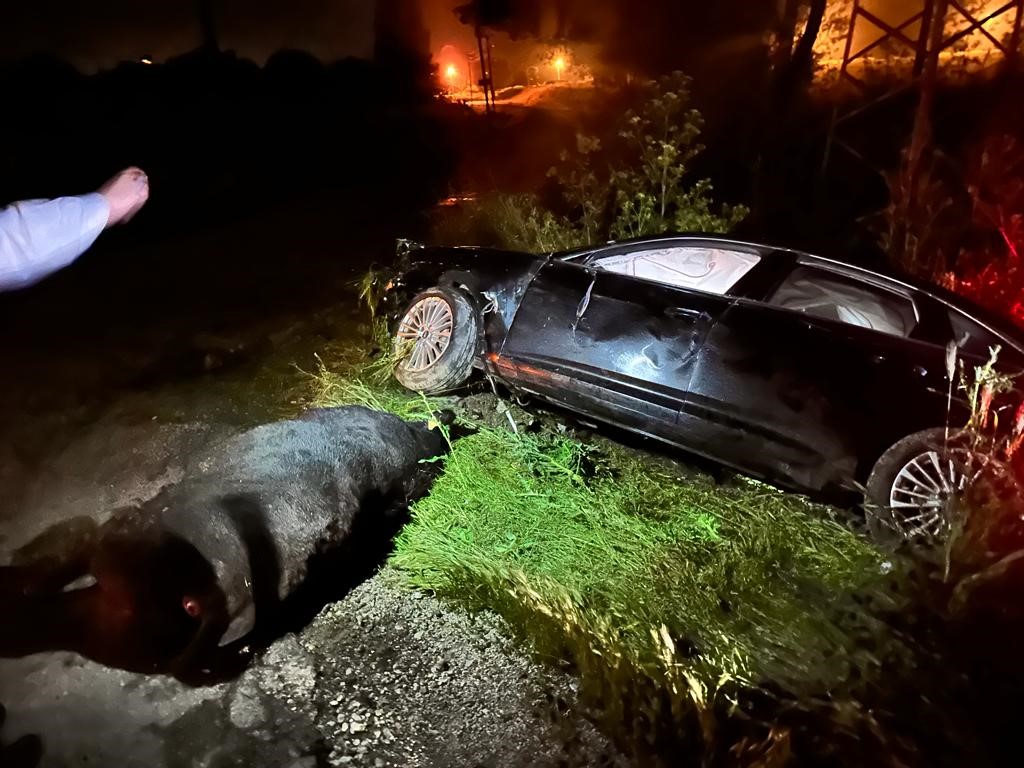 AK Parti Manisa Milletvekili ve Oğlu Kaza Geçirdi