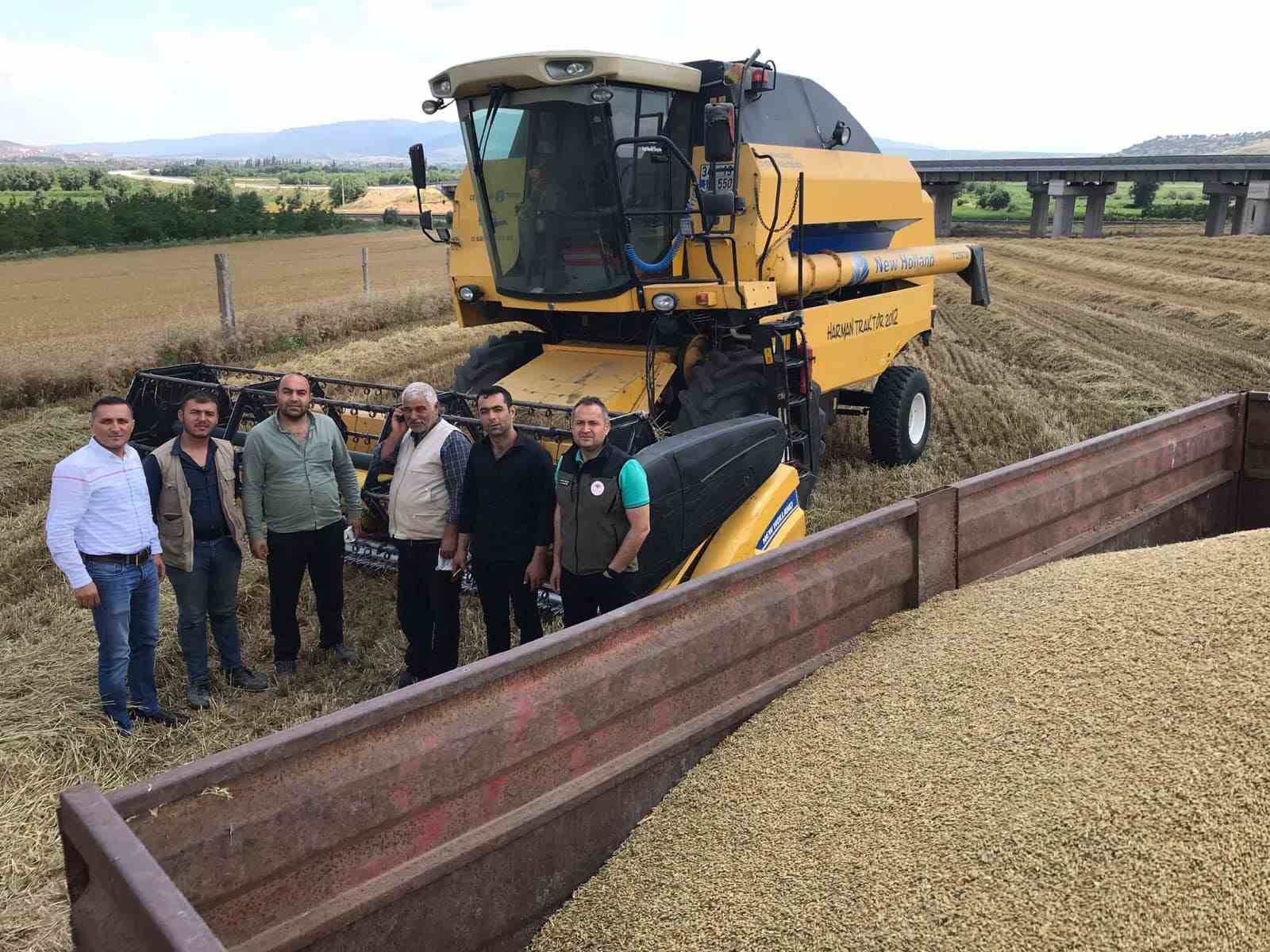 Dinar'da 300 bin dekar hububat hasadı başladı.