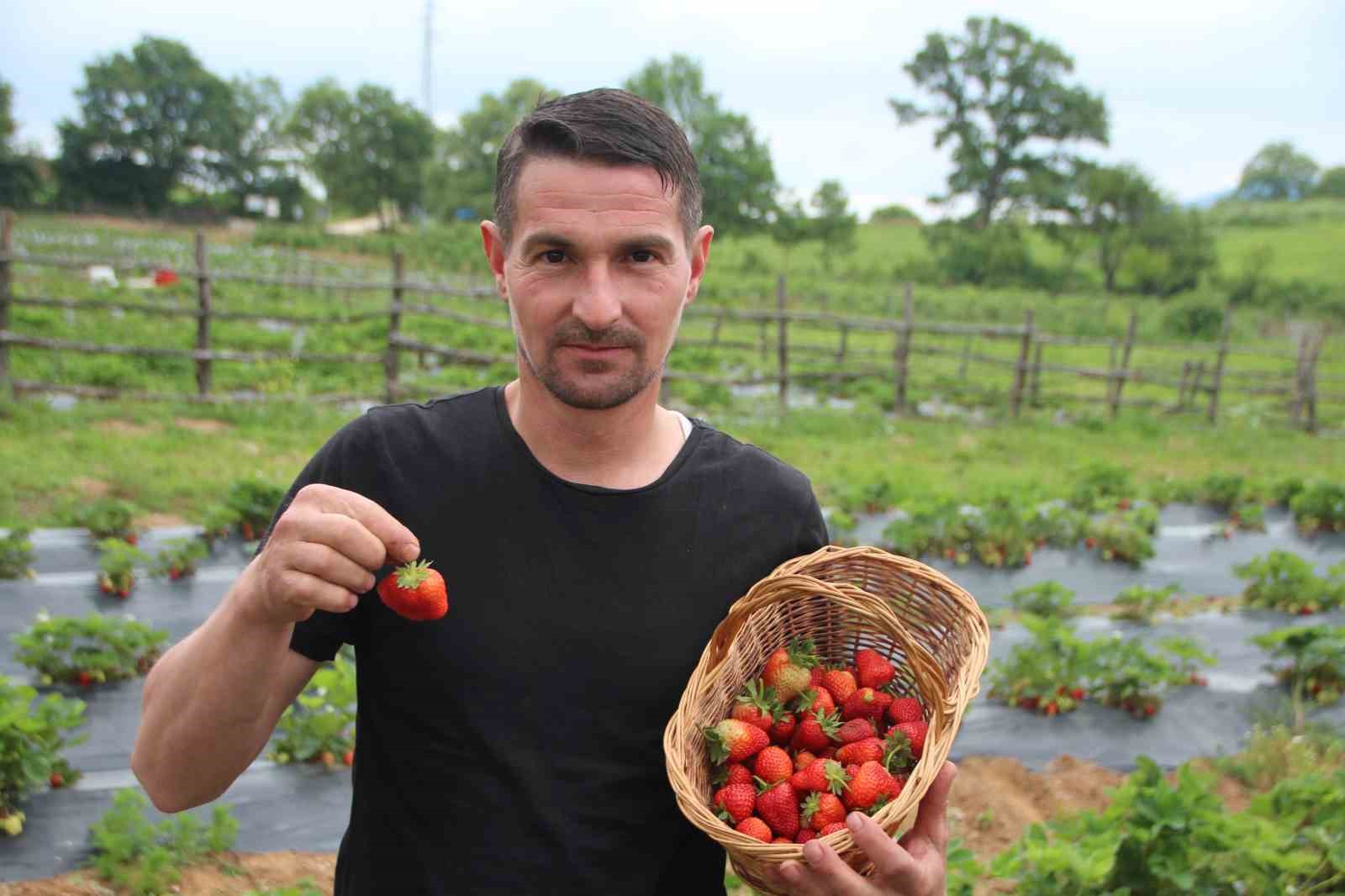 Yalçın Nar'ın Hobici Üretimi: Çilek Hasadı 30 Ton