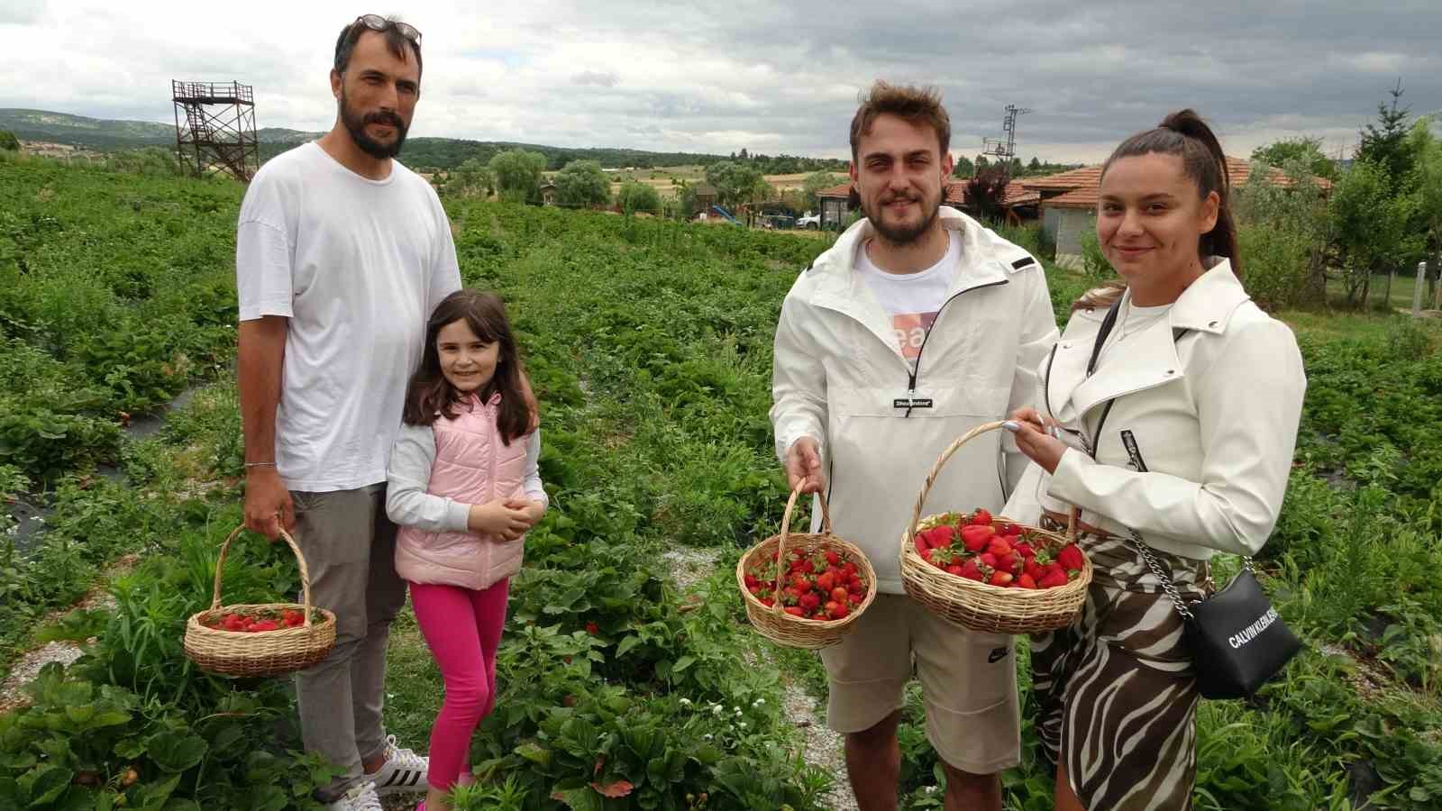 Kütahya'da Girişimci Çiftin Kurduğu Çilek Parkı Hafta Sonları Doğaseverlerin Gözdesi