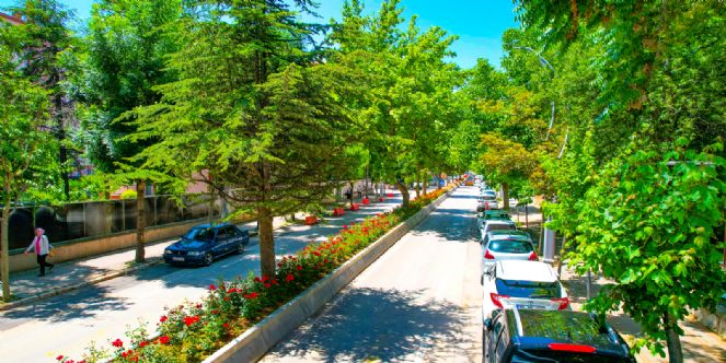 Çiçek gibi Afyonkarahisar için 130 Bin Çiçek Ekimi Yapıldı