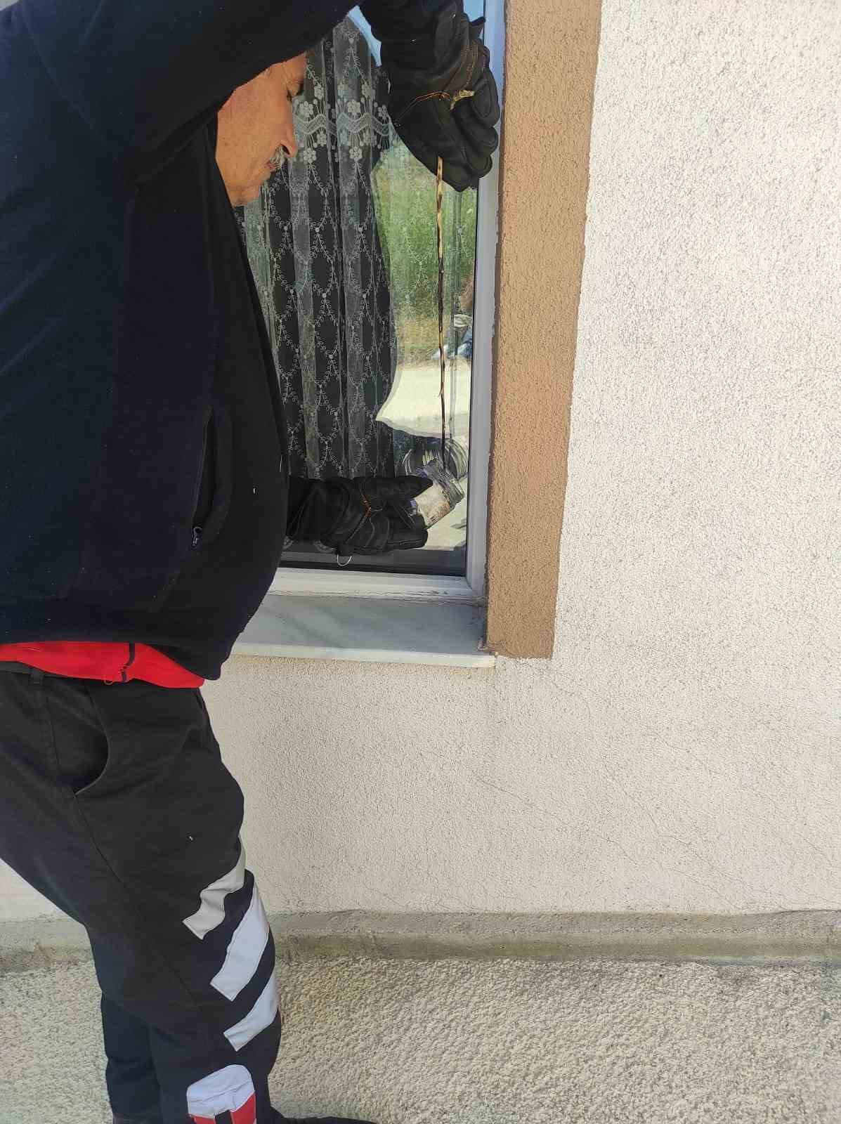 Bozüyük Belediyesi İtfaiye, İlginç Bir Örümceği Koruma Altına Aldı