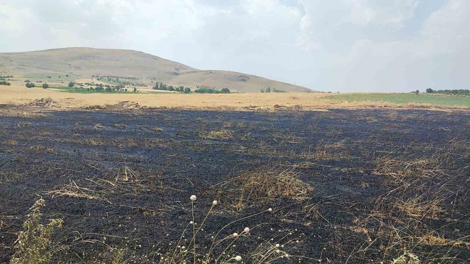 Arazi yangınında 3 dönüm ekili alan zarar gördü