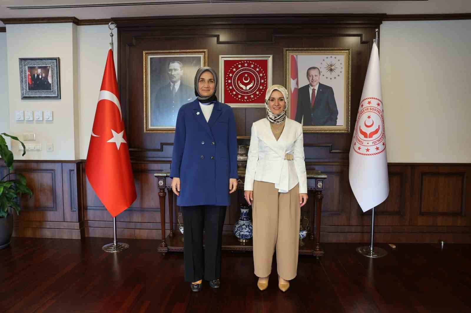 Afyonkarahisar Valisi, Bakanı ziyaret etti.