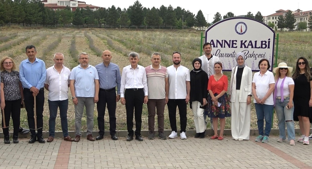 Kütahya'da DPÜ'nün Lavanta Bahçesi Öğretim Görevlileri Tarafından Bakılıyor