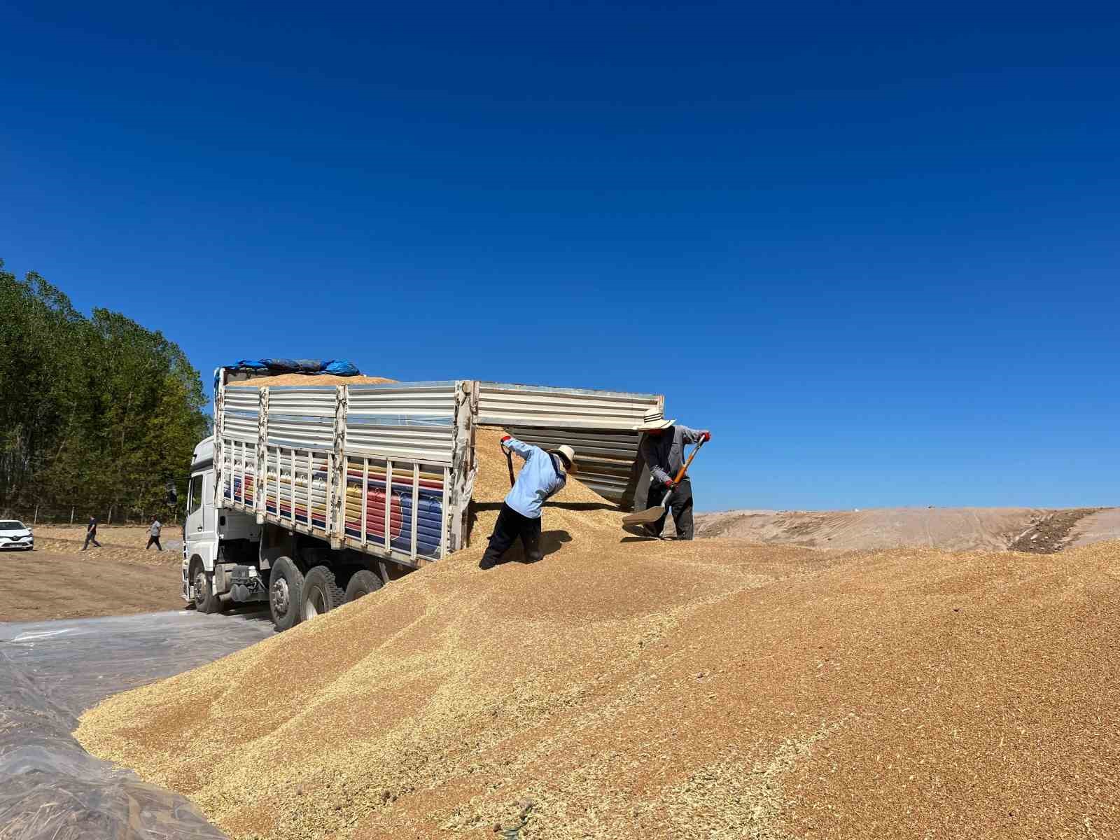 Eskişehir TMO, Günlük Bin Tonla Rekor Kırdı