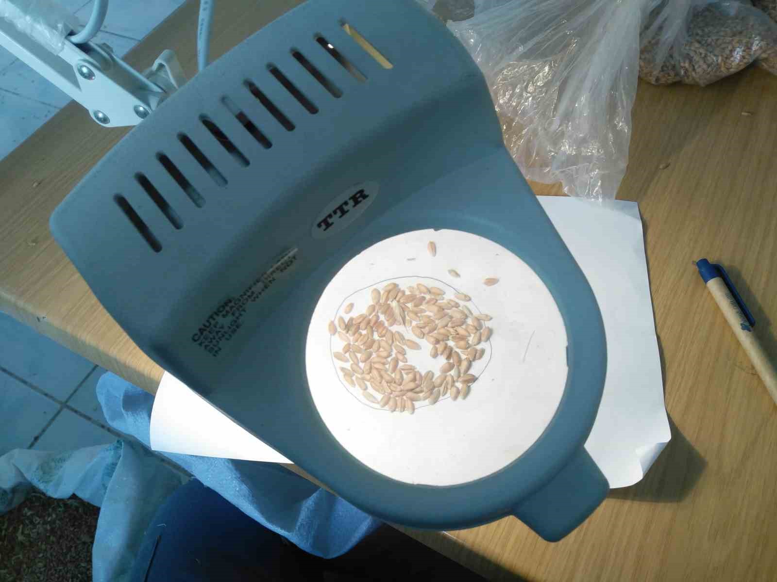 Eskişehir'de Süne Mücadelesi Devam Ediyor.