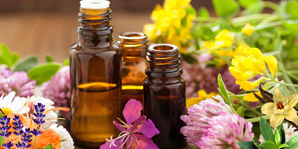 İşte saç dökülmesine iyi gelen bazı bitkiler ve nasıl kullanabileceğiniz: