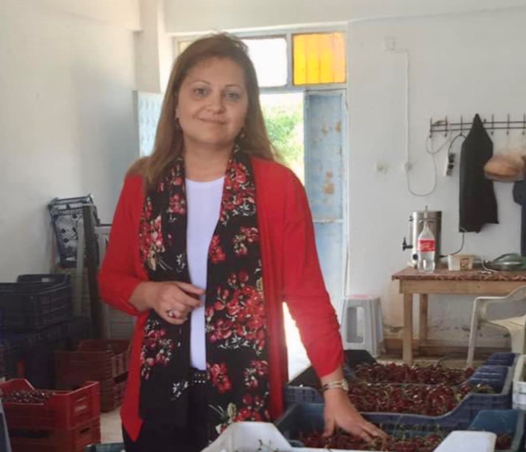 Artık bıçak kemiğe dayandı. Kiraz üreticilerinin sorunu ya çözülecek ya çözülecek